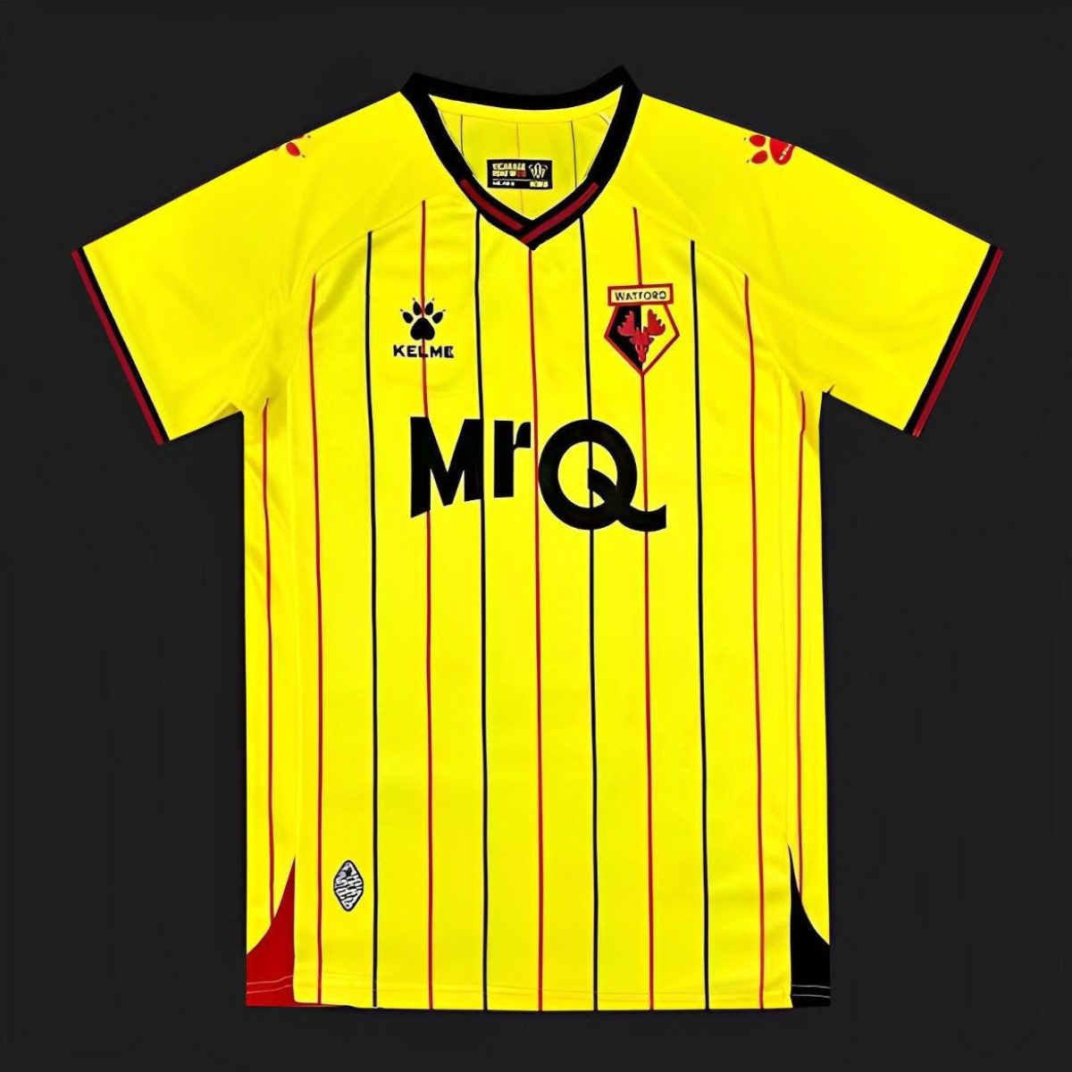 24/25 Watford Home Jersey