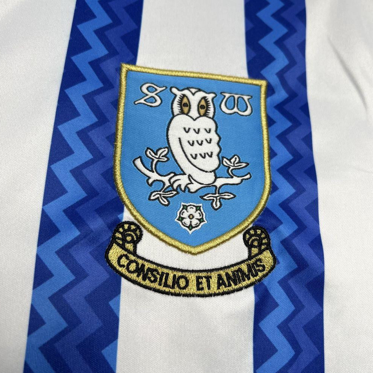24/25 Sheffield Wednesday Home Jersey