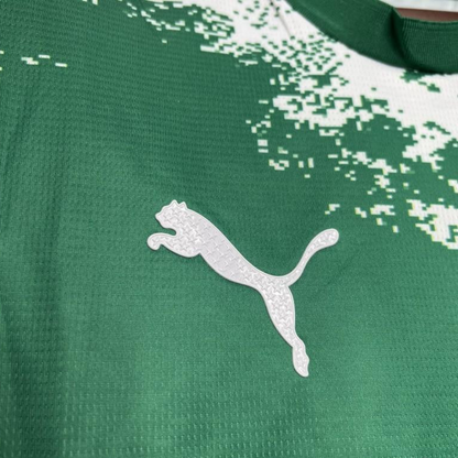 24/25 Palmeiras Special Edition Green And White Jersey