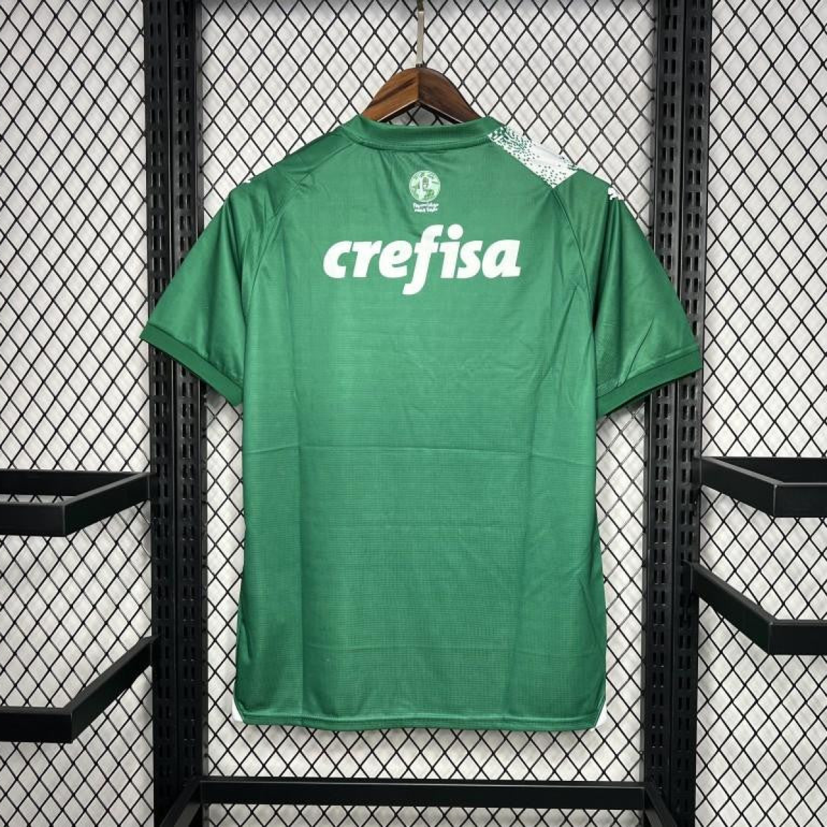 24/25 Palmeiras Special Edition Green And White Jersey