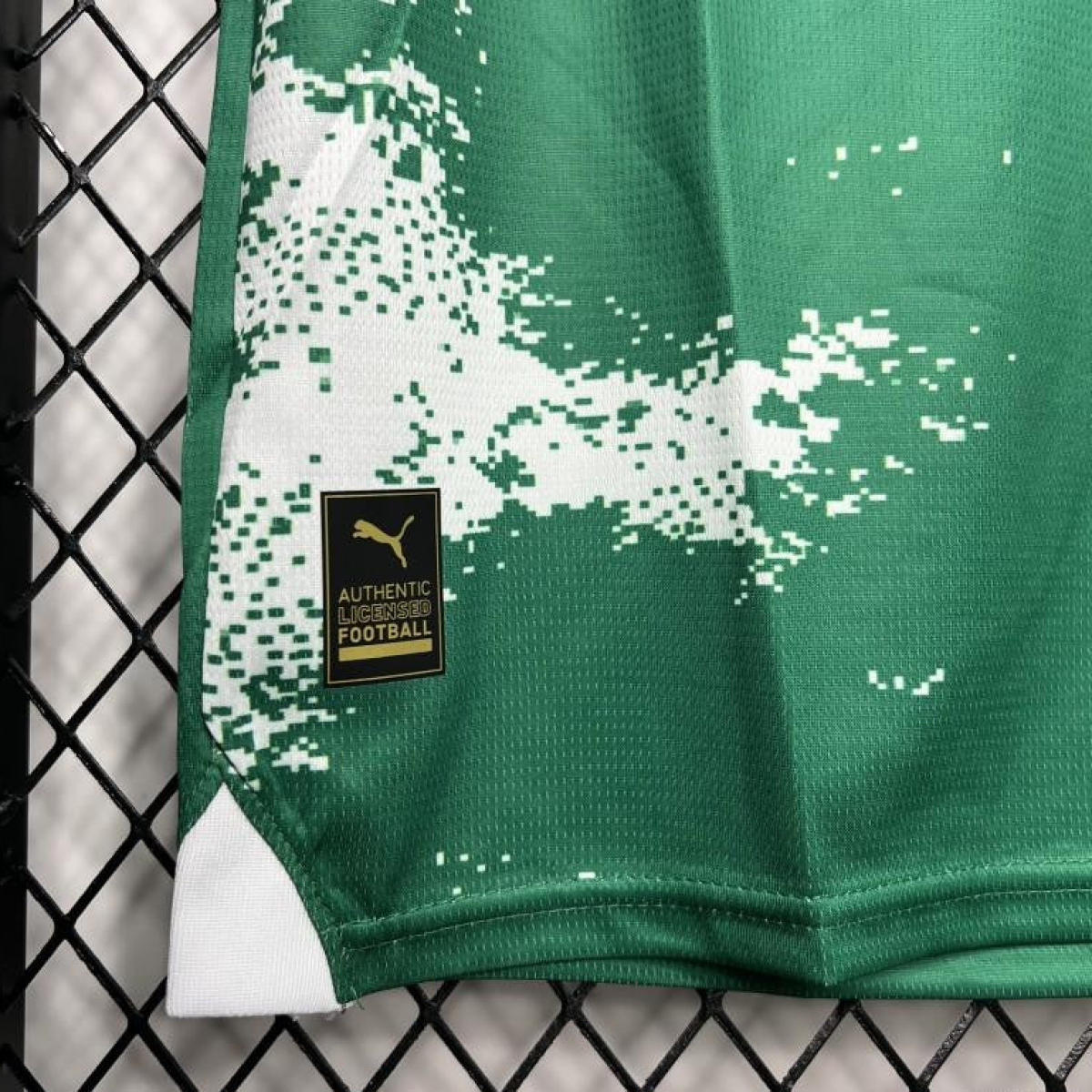 24/25 Palmeiras Special Edition Green And White Jersey