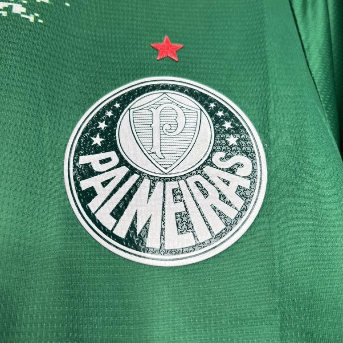 24/25 Palmeiras Special Edition Green And White Jersey