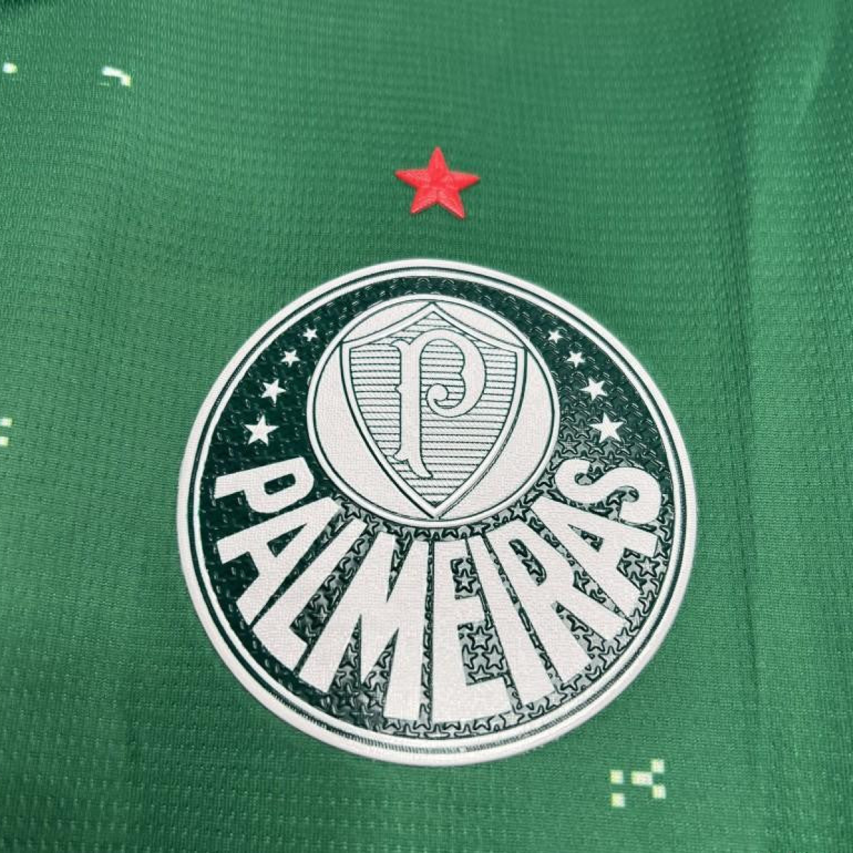 24/25 Palmeiras Special Edition White And Green Jersey