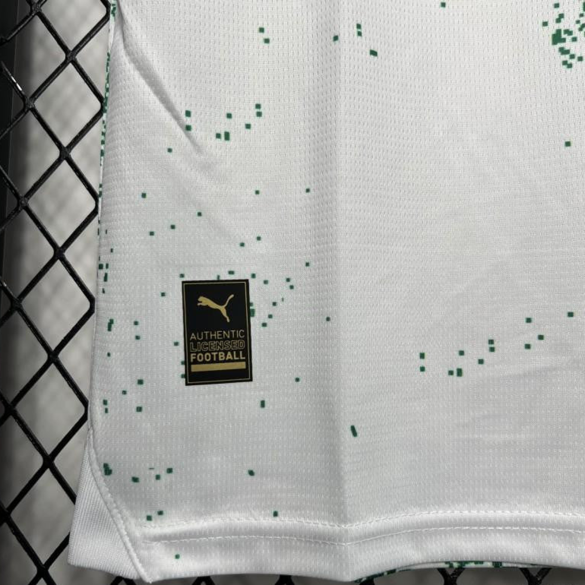 24/25 Palmeiras Special Edition White And Green Jersey