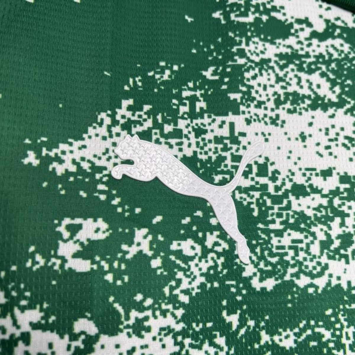 24/25 Palmeiras Special Edition White And Green Jersey