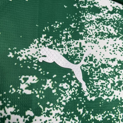 24/25 Palmeiras Special Edition White And Green Jersey