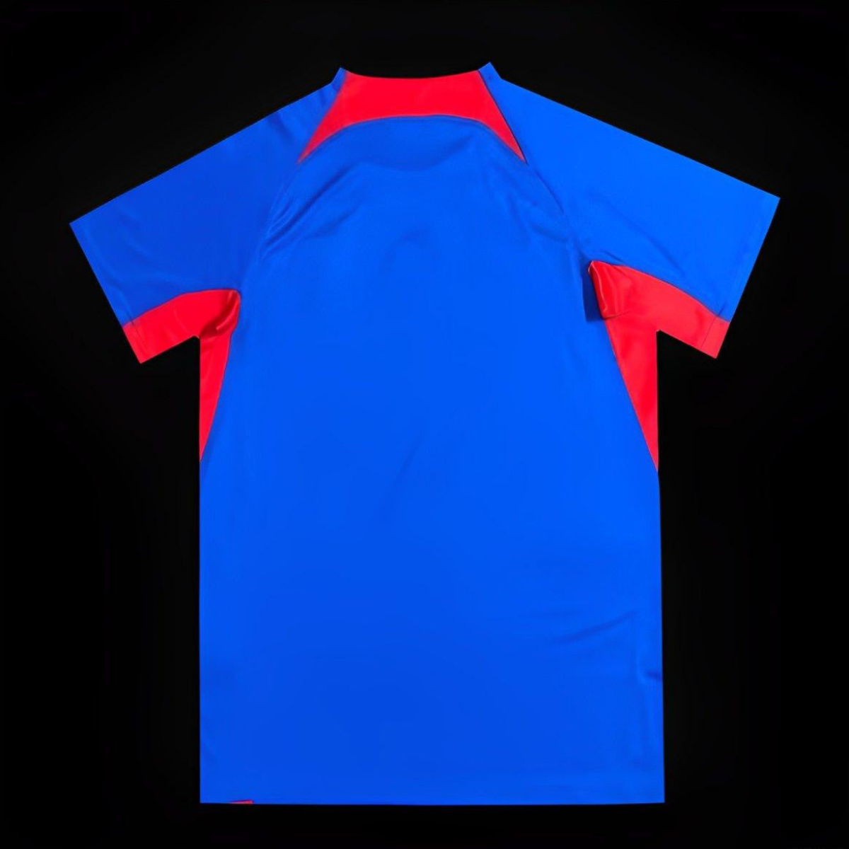2024 Slovakia Home Jersey