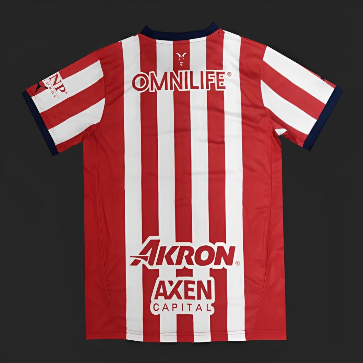24/25 Chivas Guadalajara Home Jersey