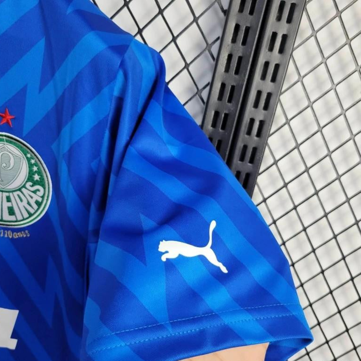 24/25 Palmeiras Goalkeeper Blue Jersey