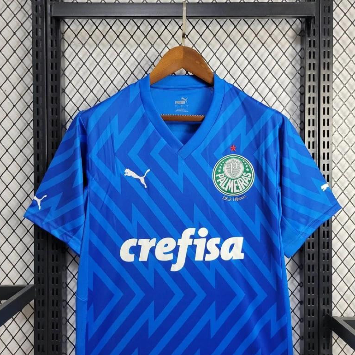 24/25 Palmeiras Goalkeeper Blue Jersey
