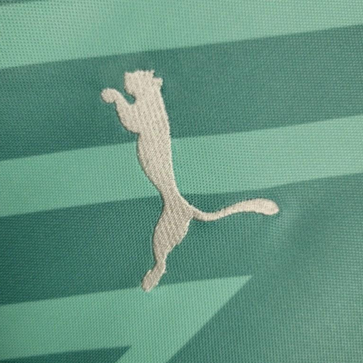 24/25 Palmeiras Goalkeeper Green Jersey