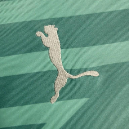 24/25 Palmeiras Goalkeeper Green Jersey