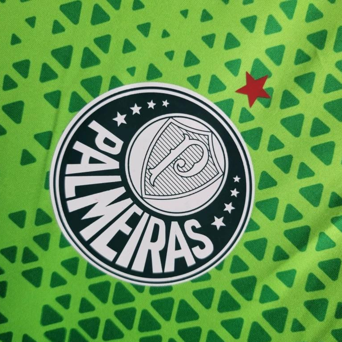 24/25 Palmeiras Green Training Jersey