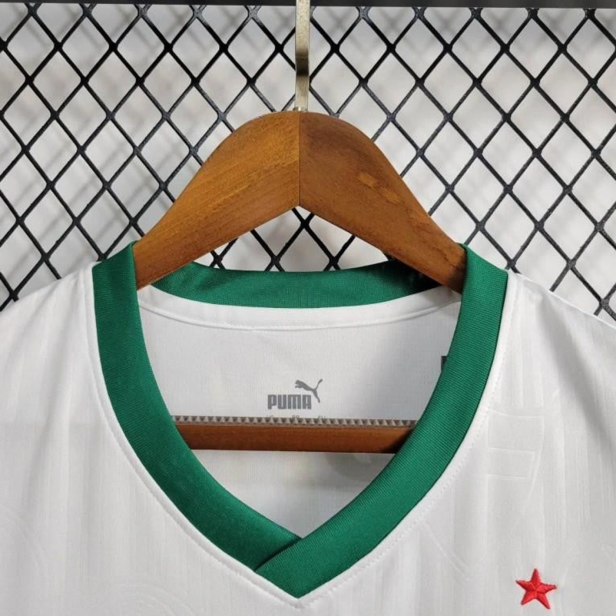 24/25 Palmeiras Away White Vest Jersey