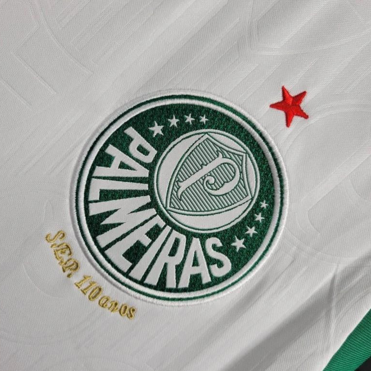24/25 Palmeiras Away White Vest Jersey
