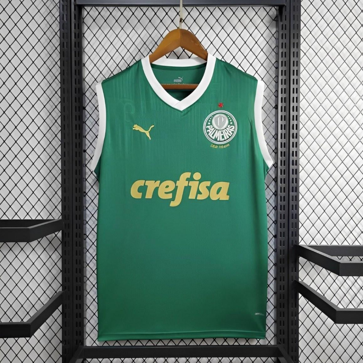 24/25 Palmeiras Home Vest Green Jersey