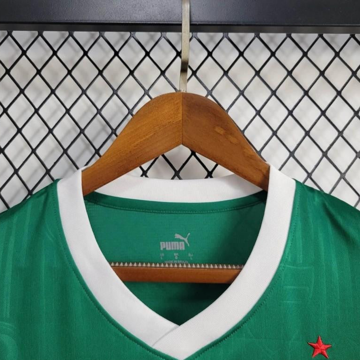 24/25 Palmeiras Home Vest Green Jersey