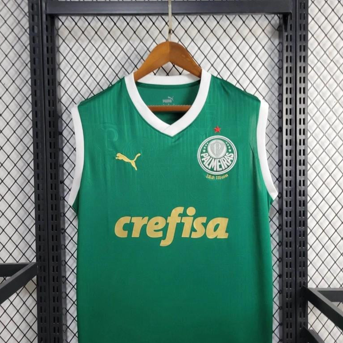 24/25 Palmeiras Home Vest Green Jersey