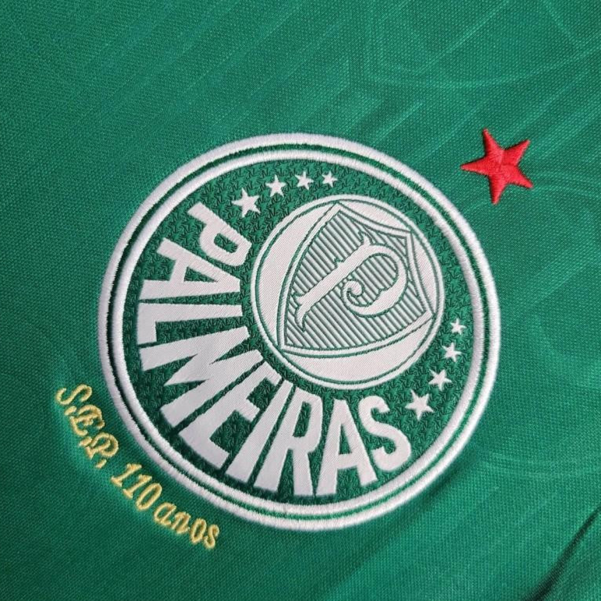 24/25 Palmeiras Home Vest Green Jersey