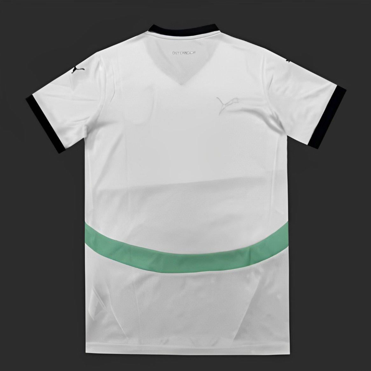 2024 Austria Away White Jersey