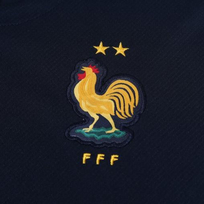 2024 France Cotton Navy Short Sleeve Jersey+Shorts