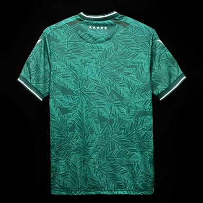 24/25 Santiago Wanderers Home Jersey
