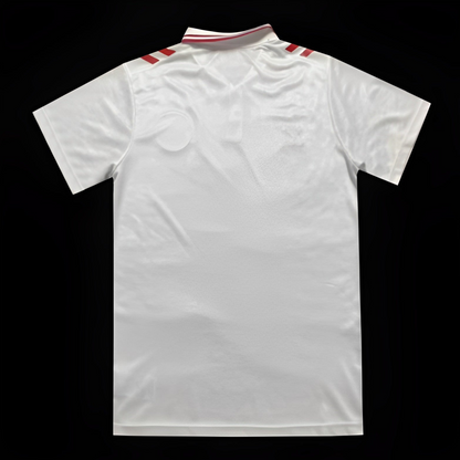 2024 Denmark Away White Jersey