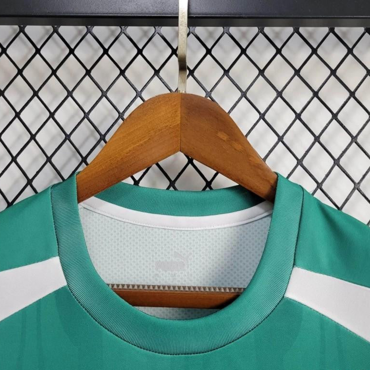 24/25 Palmeiras Training Green Jersey