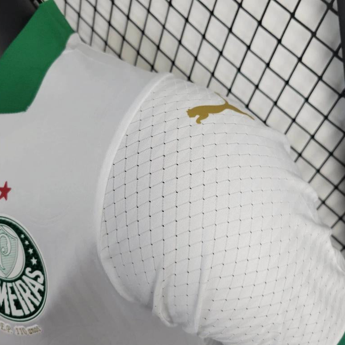 Player Version 24/25 Palmeiras Away Jersey