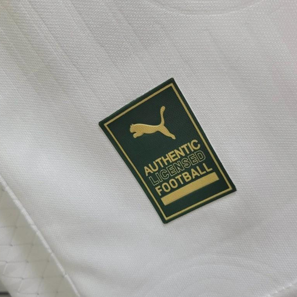 Player Version 24/25 Palmeiras Away Jersey