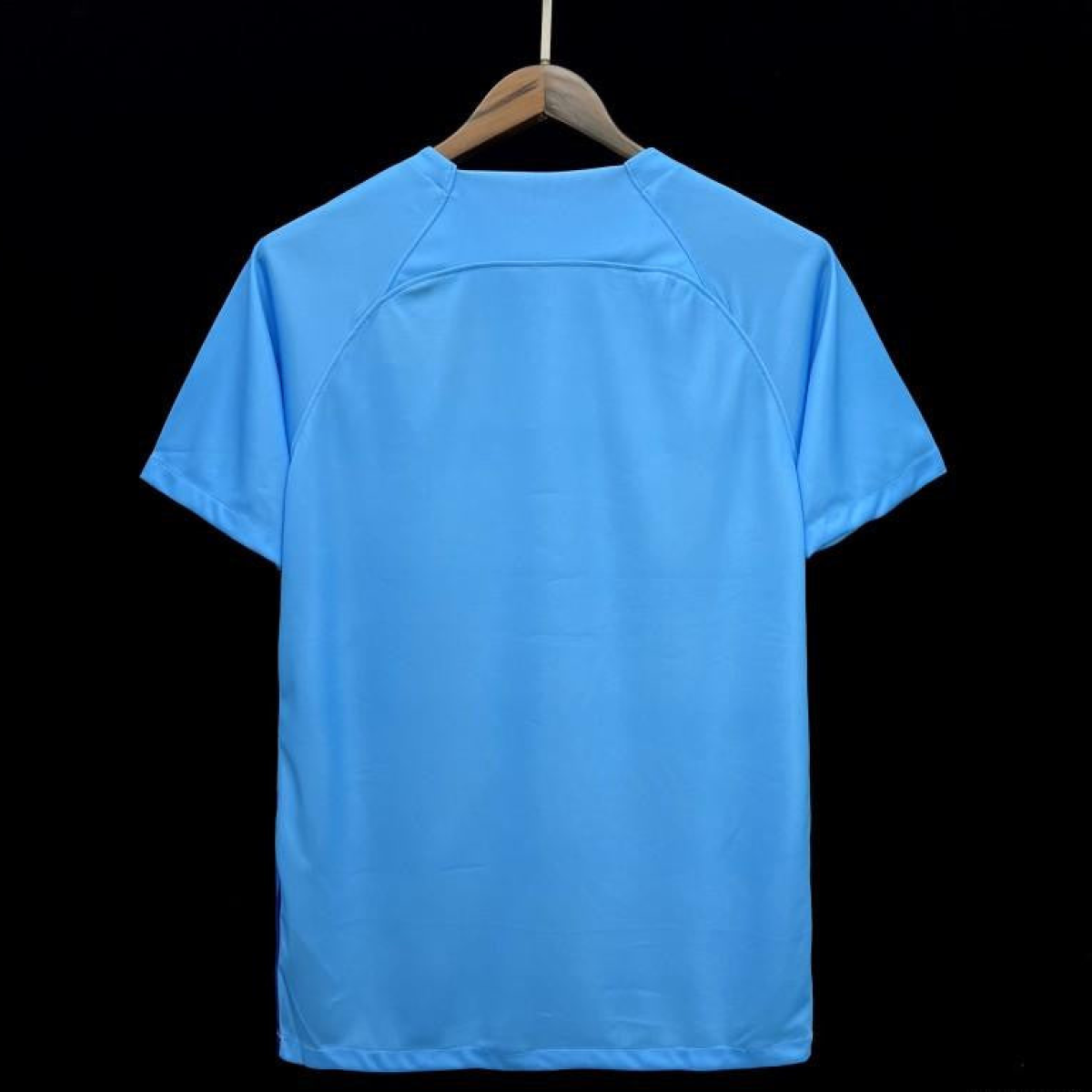 2024 Netherlands Special Blue Jersey