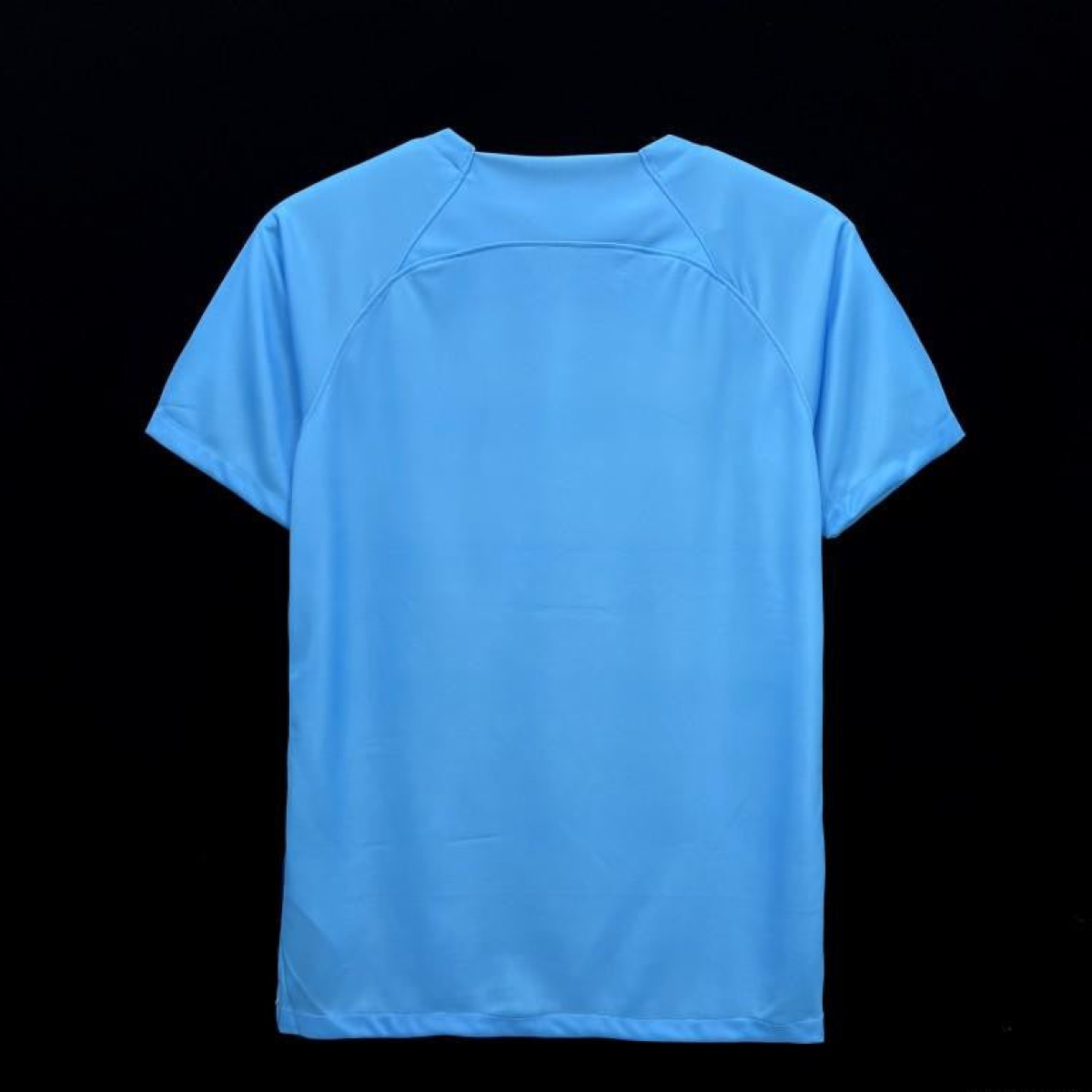 2024 Netherlands Special Blue Jersey