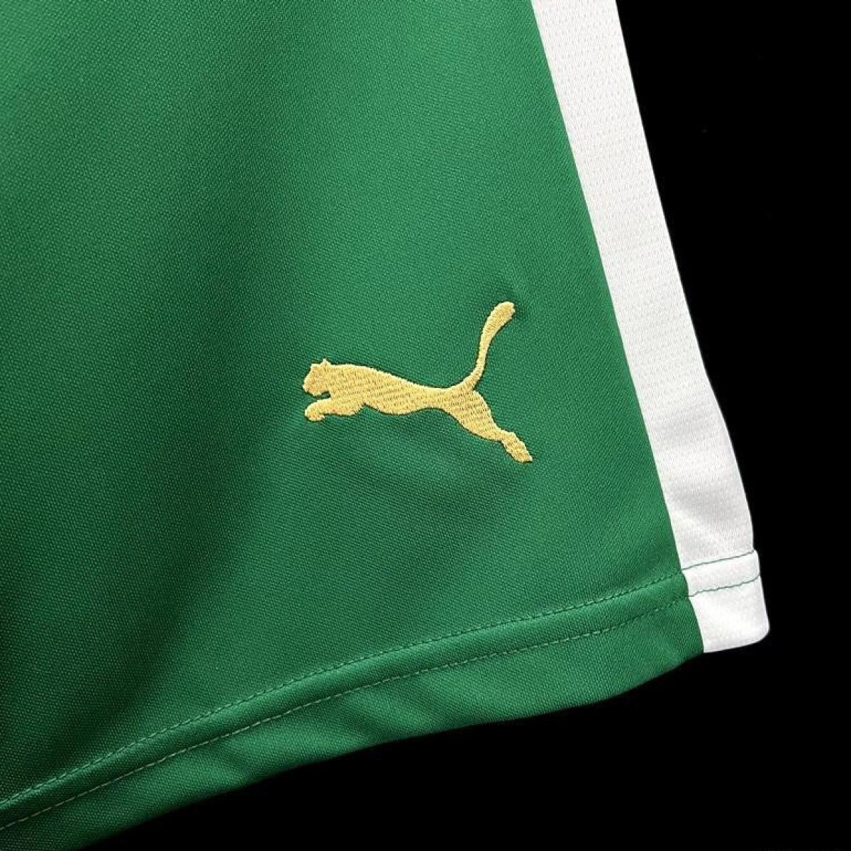 24/25 Palmeiras Away Green Shorts
