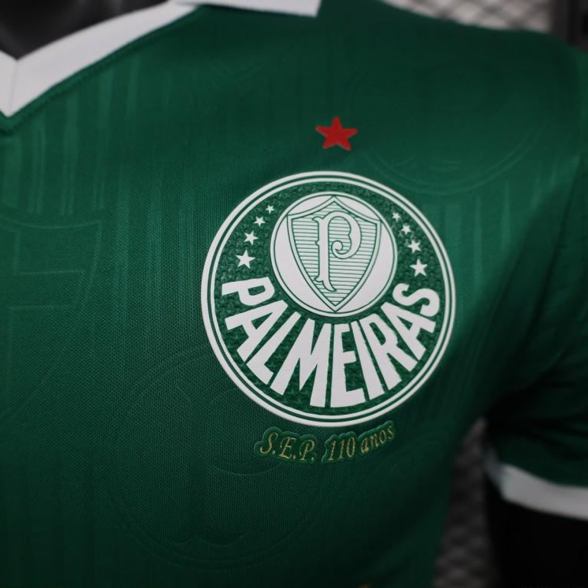 Player Version 24/25 Palmeiras Home Jersey