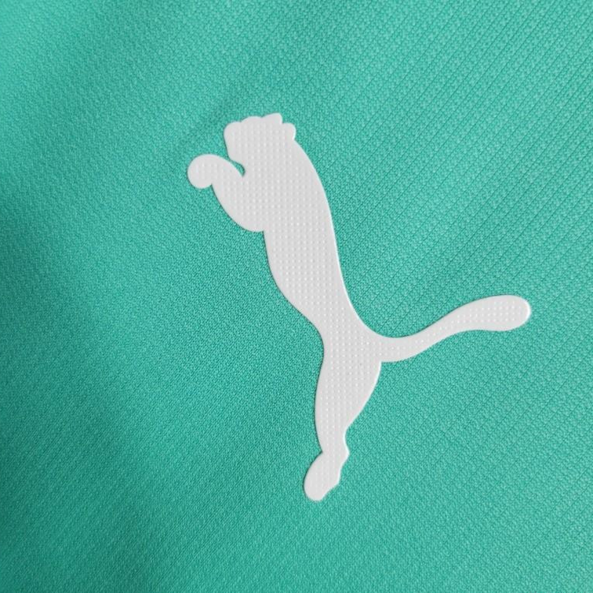 Retro Palmeiras 19-20 THIRD Jersey