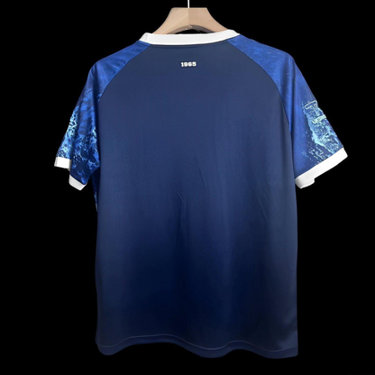 24/25 Hansa Rostock Baltic Sea special Jersey