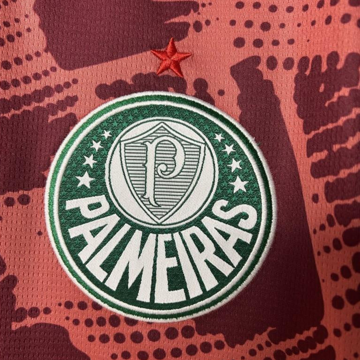 25/26 Palmeiras Goalkeeper Red Jersey